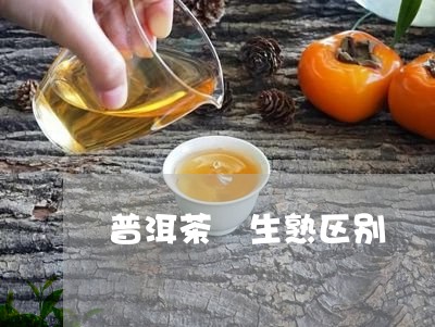 普洱茶 生熟区别/2023041076350